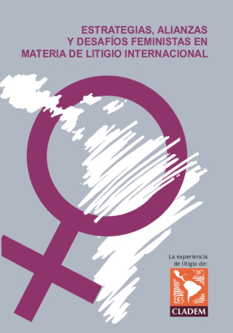 Estrategias, alianzas y desafíos feministas en materia de litigio internacional